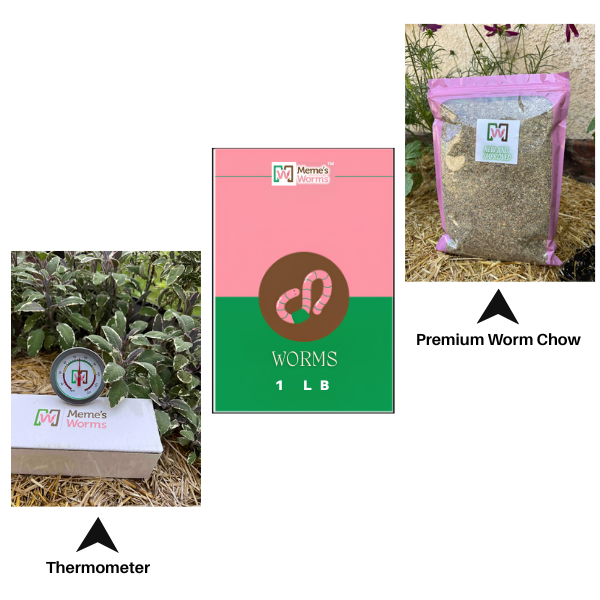 1 LB Worms + Worm Chow + Thermometer Combo (SC)
