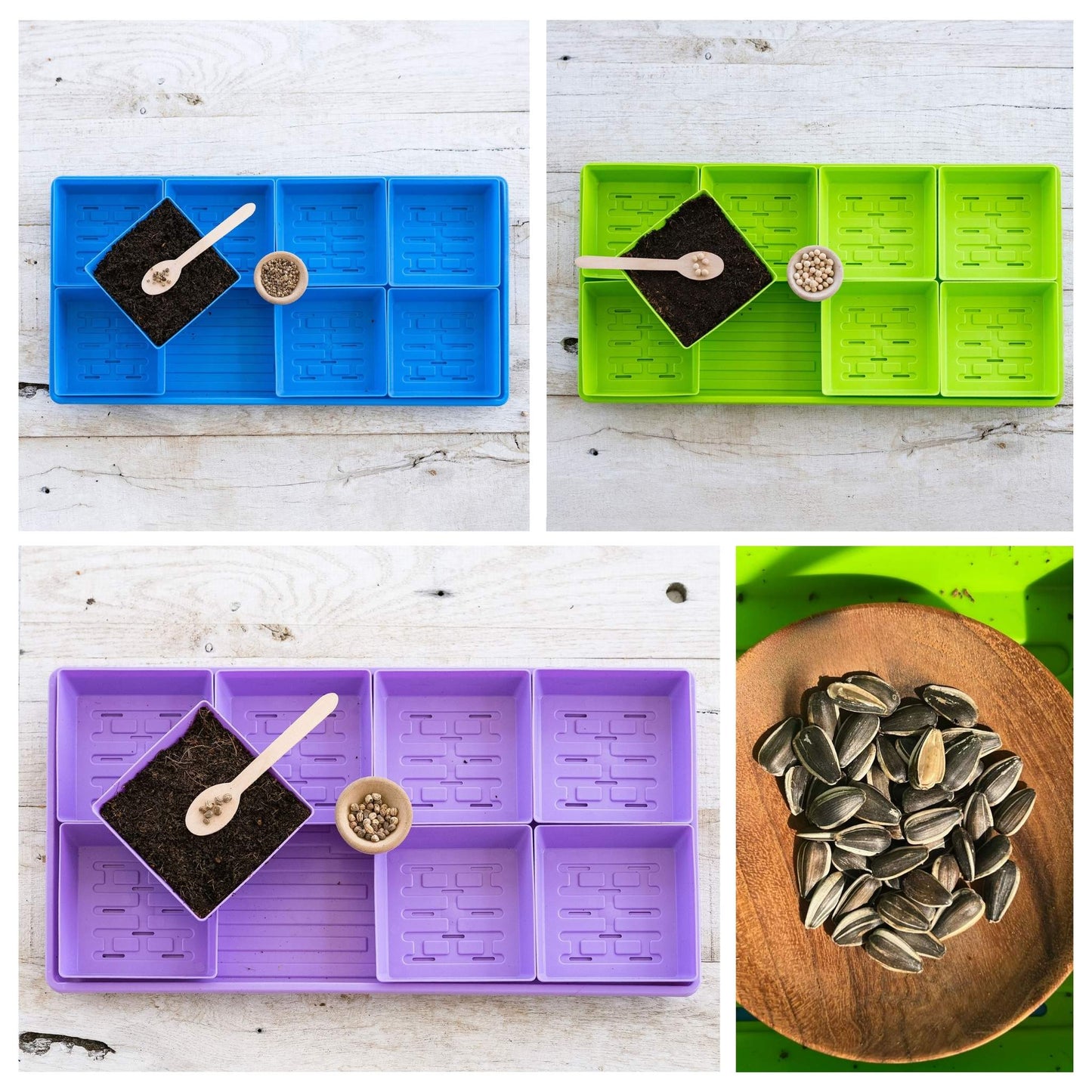 5x5 Microgreens Kit - Blessings Grow Meadows