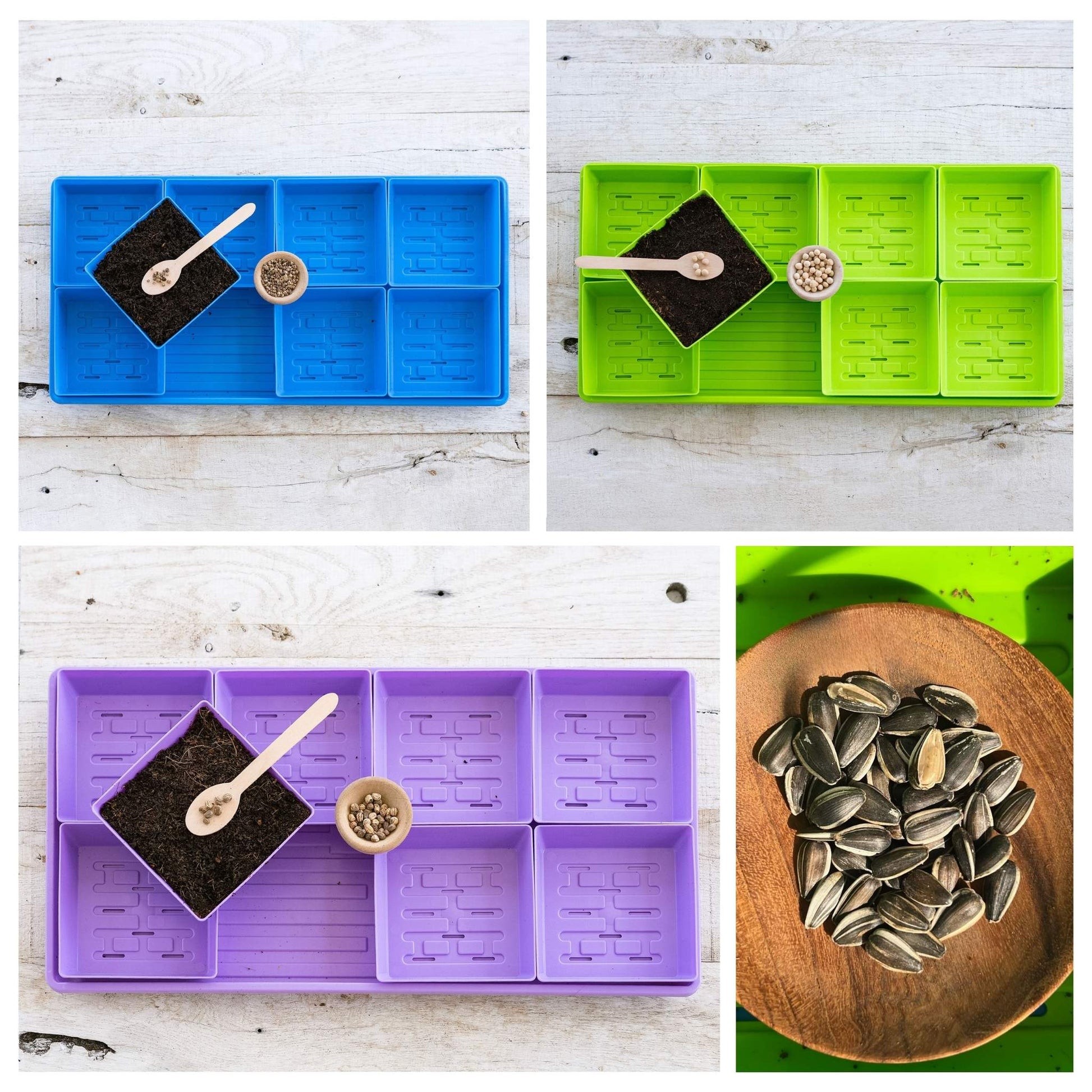 5x5 Microgreens Kit - Blessings Grow Meadows