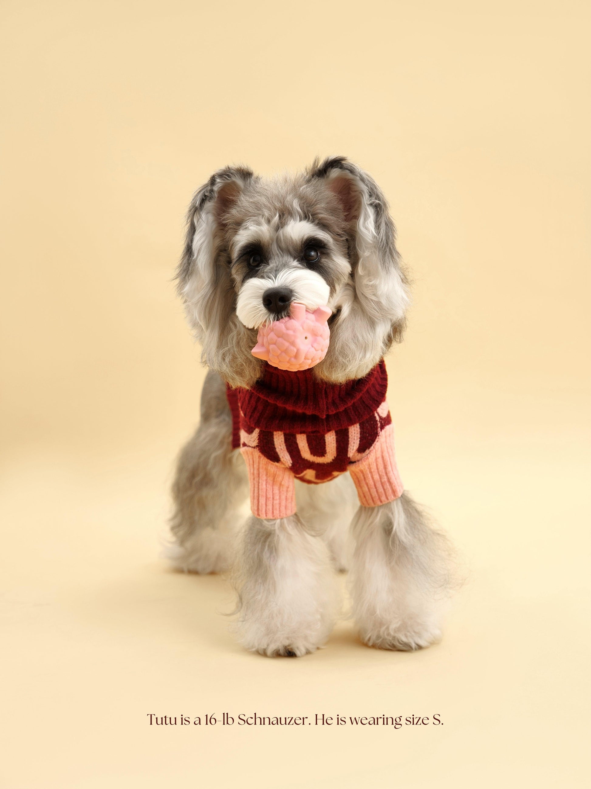 Rosé Bliss Sweater - BarkBarkBaby ~ Blessings Grow Meadows