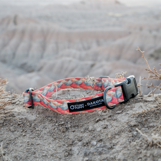 Stunt Puppy x DAS Badlands Everyday Dog Collar by Dakota Adventure Supply featuring rugged nylon design and metal buckle.
