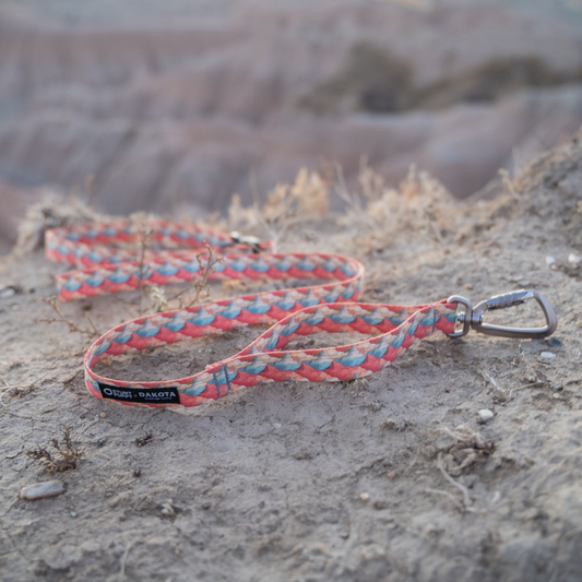 Dakota Adventure Supply Stunt Puppy x DAS Badlands Everyday Leash for dogs, featuring durable nylon with metal clasp.