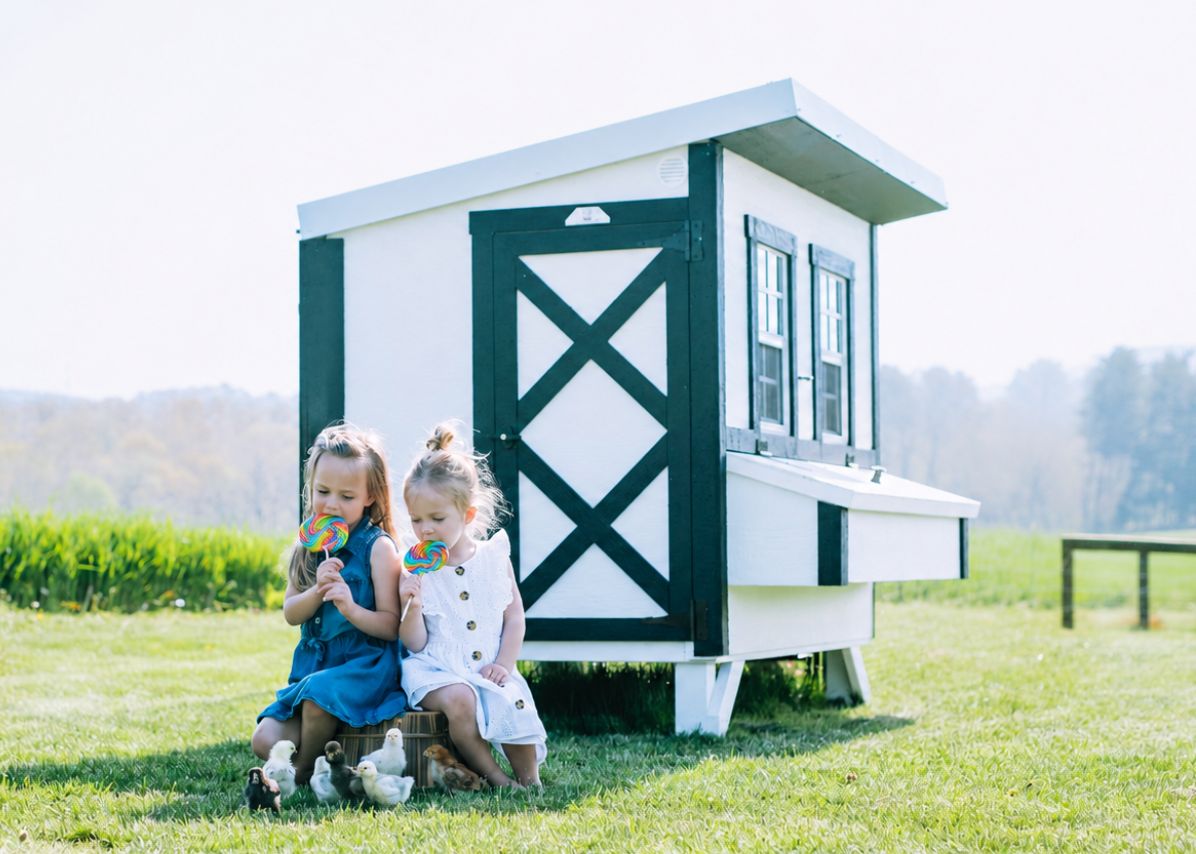 OverEZ large chicken coop with spacious design, suitable for up to 15 chickens, featuring wooden construction and secure nesting areas.