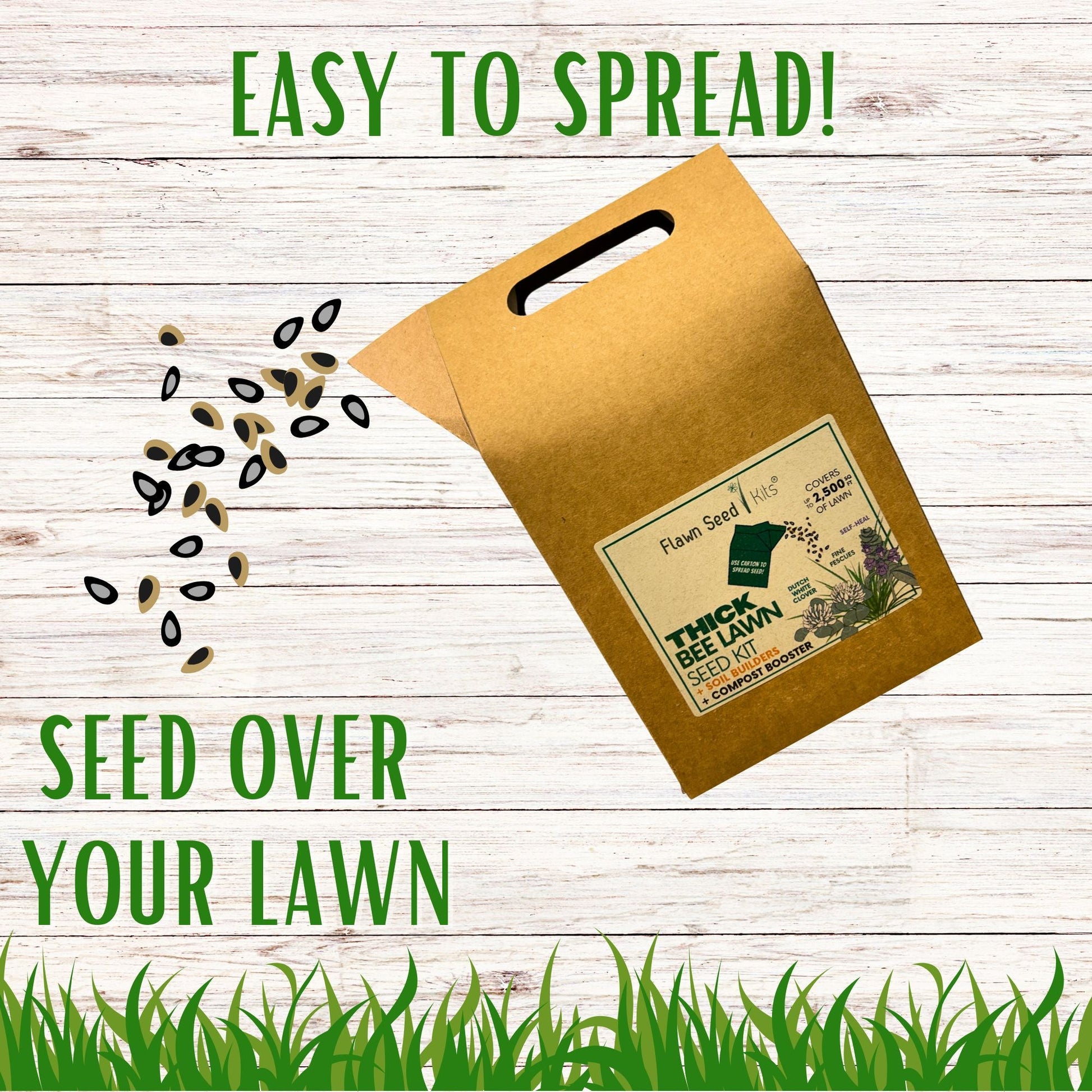 Thick Bee Lawn Seed Kit Eco-Spread Carton - Blessings Grow Meadows
