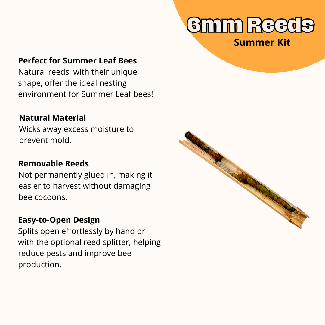 Cabana Bee House & Complete Kit with Bee Certificate - Blessings Grow Meadows