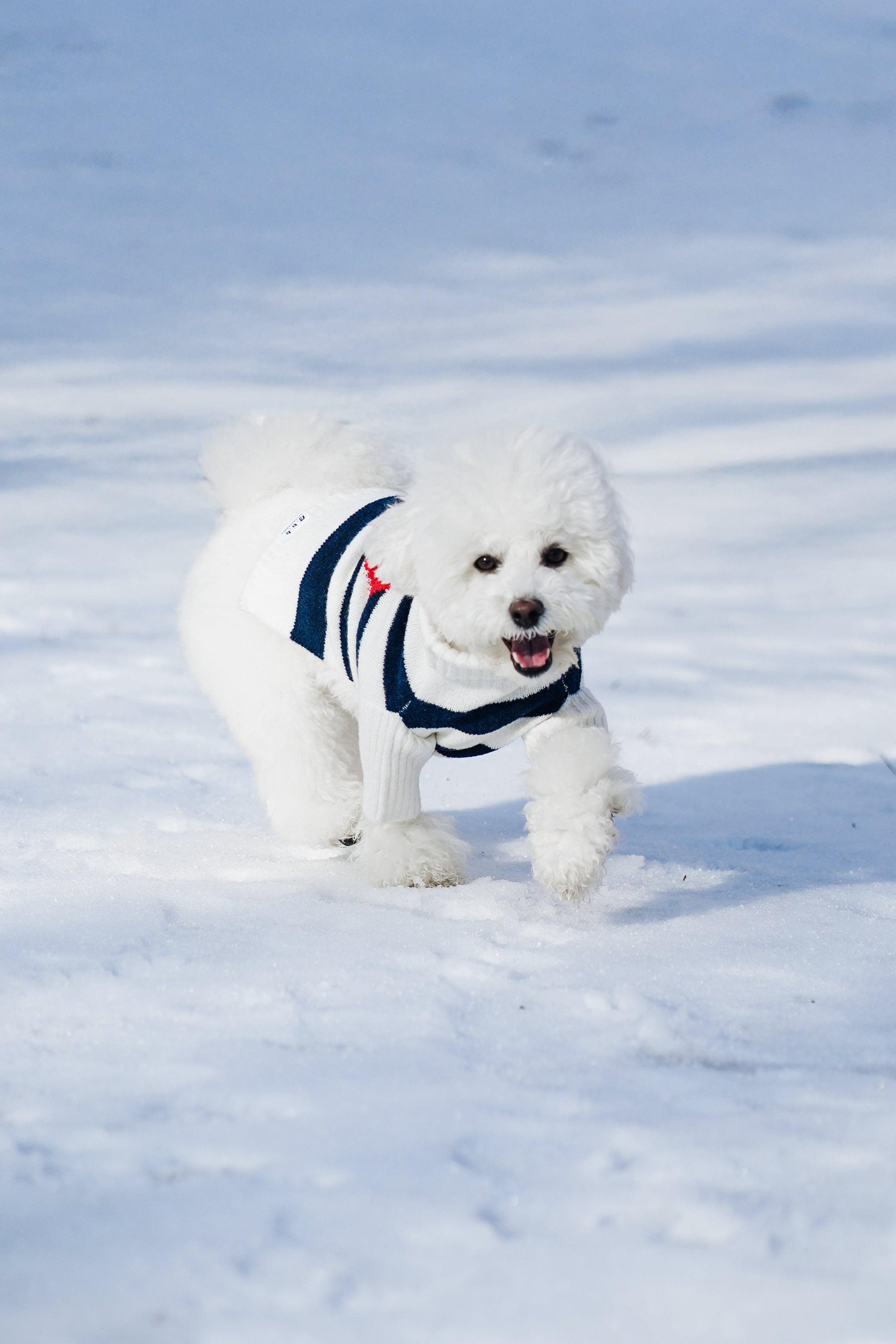Sailor of My Heart Striped Turtleneck Sweater - BarkBarkBaby ~ Blessings Grow Meadows