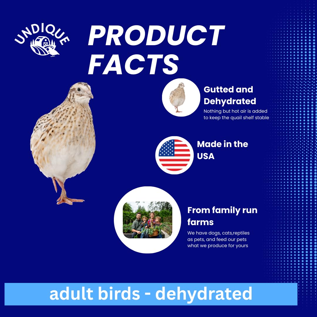 Dehydrated whole quail treat for bird dog training or falconry, natural protein snack from Quailz.com by Undique LLC.
