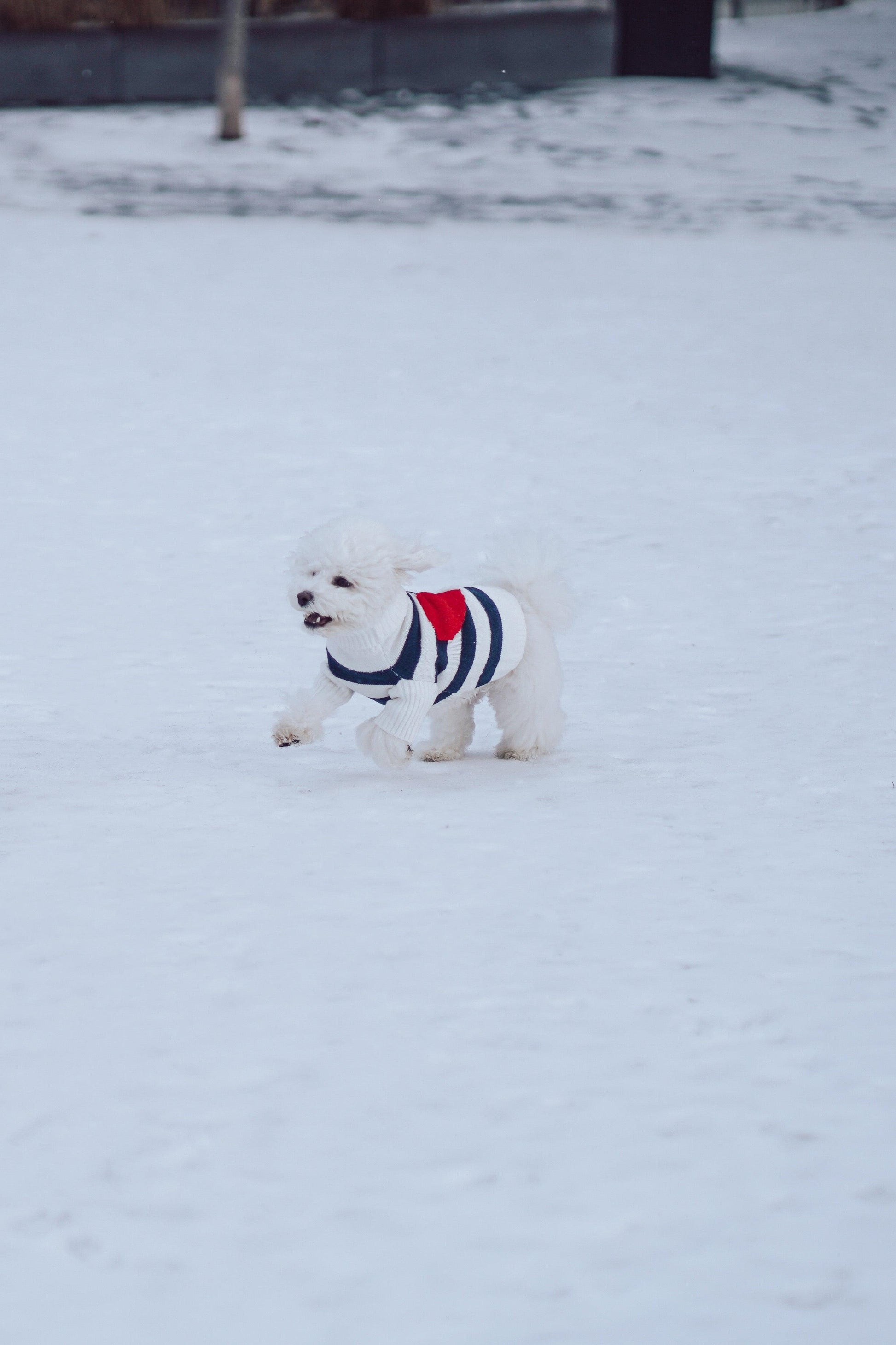 Sailor of My Heart Striped Turtleneck Sweater - BarkBarkBaby ~ Blessings Grow Meadows