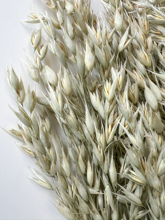 Dried Oats