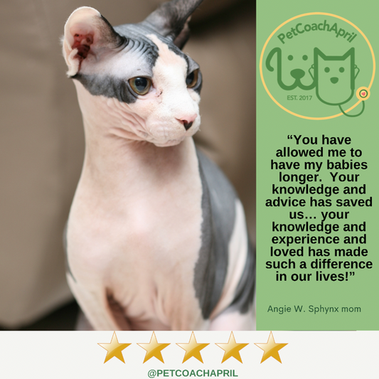 PET HEALTH & BEHAVIOR CONSULTS - Blessings Grow Meadows