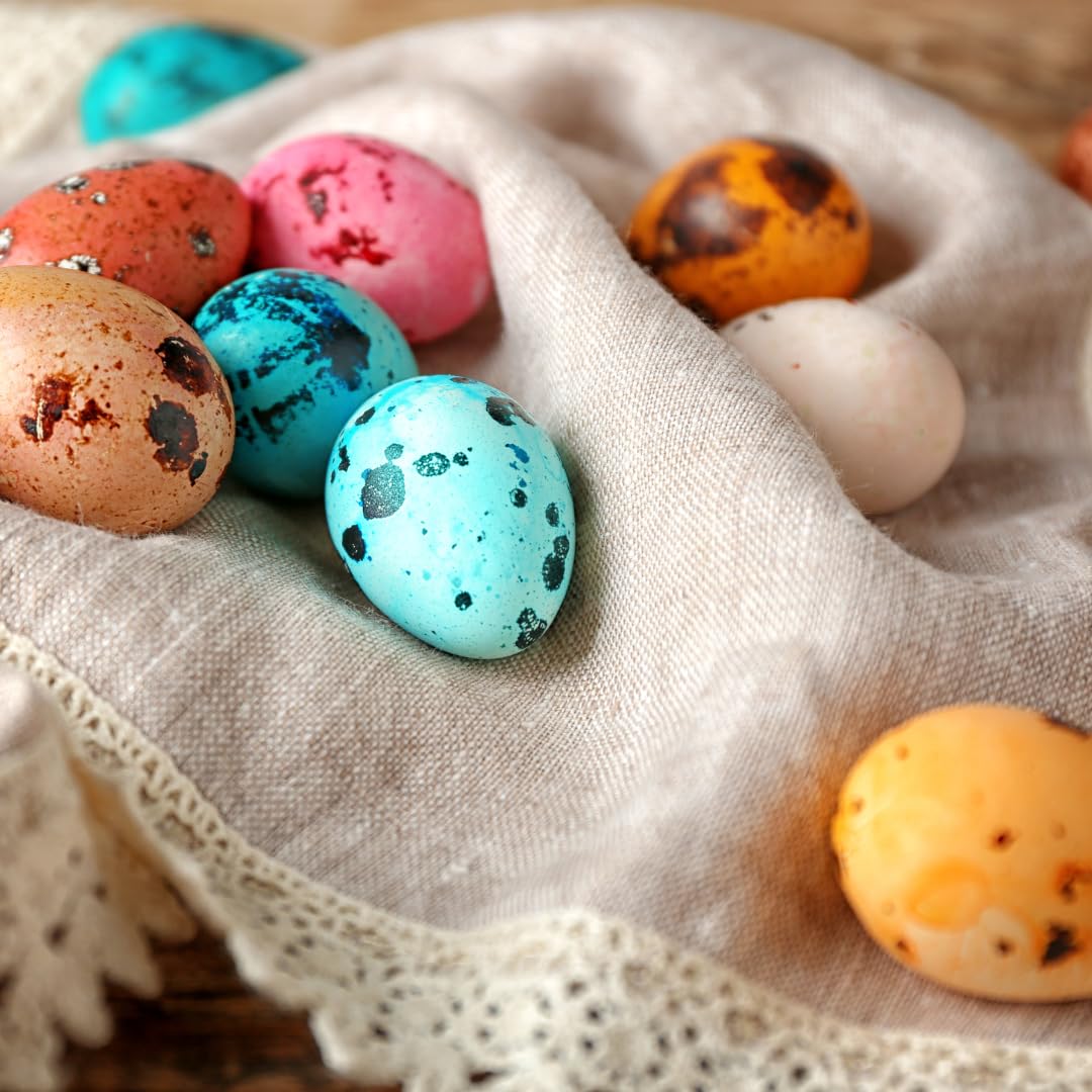 Set of 10 cleaned hollow quail eggshells from Quailz.com, ideal for crafting and decorative purposes.