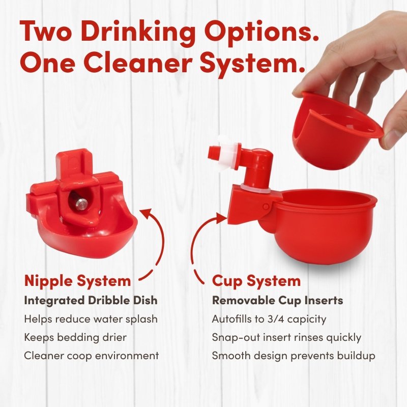 RentACoop 2 Gal Highrise Chicken Waterer with Auto-Fill Cups and Horizontal Nipples