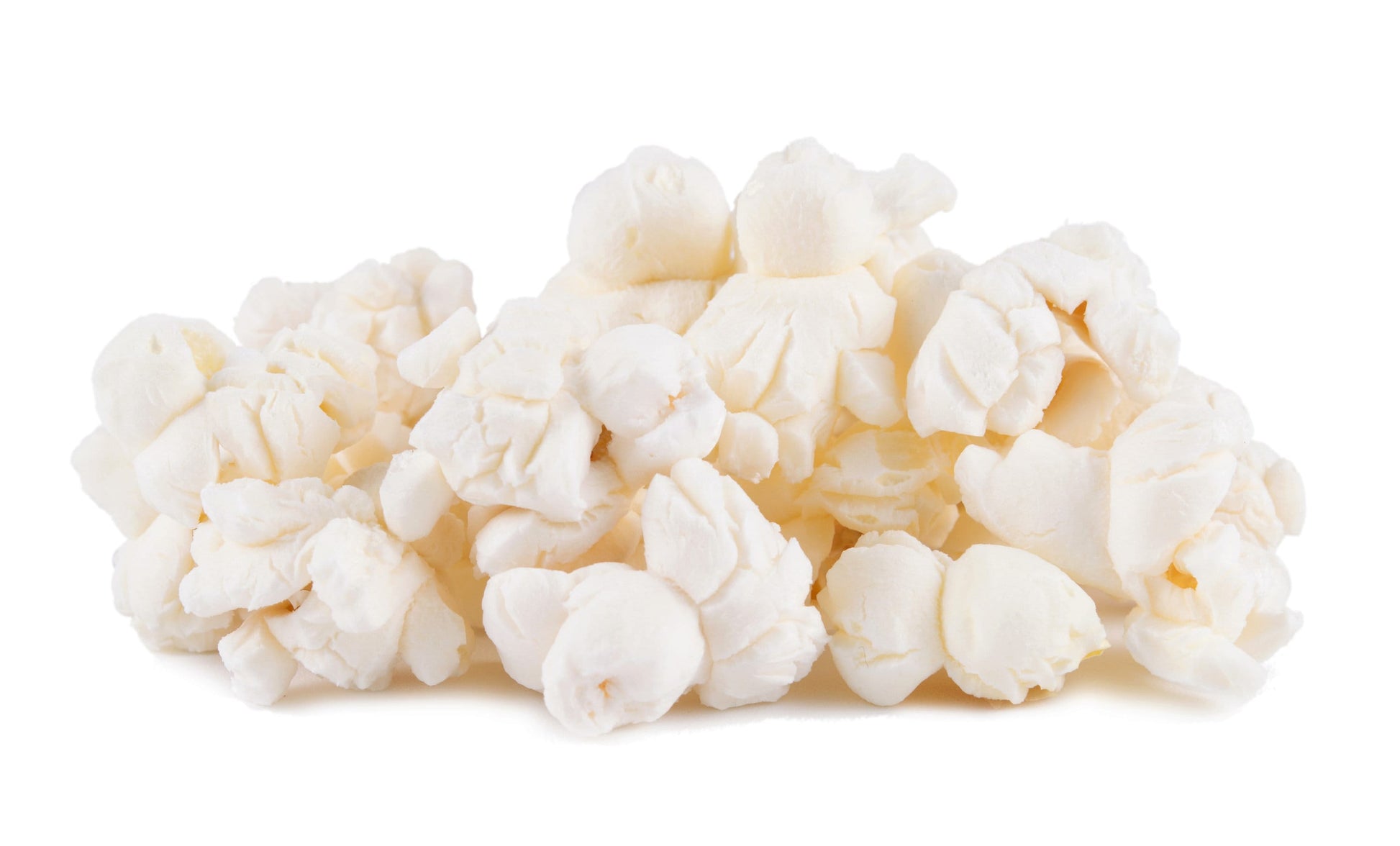 75 Japanese WHITE HULLESS POPCORN or Baby Corn Zea Mays Heirloom Vegetable Seeds - Blessings Grow Meadows -