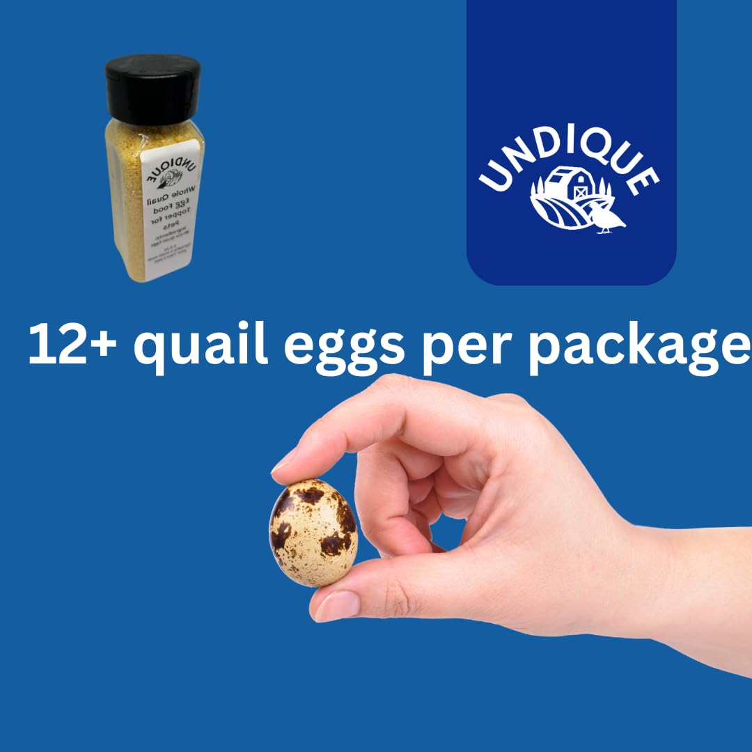 Quailicious Boost pet food enhancer with whole quail eggs for dogs, promoting energy, healthy coat, immune support, and omega-3.