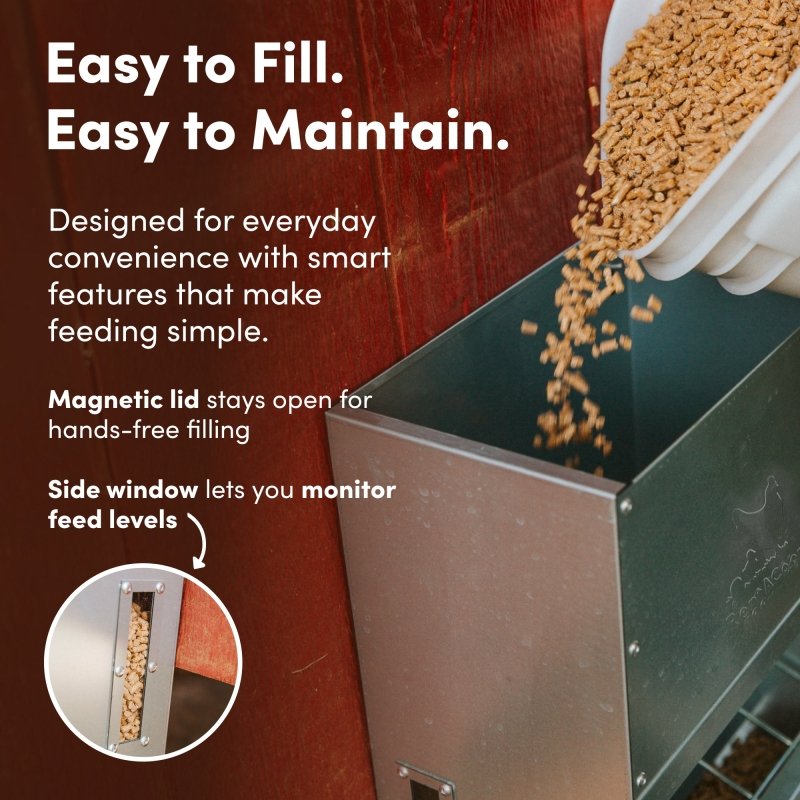 RentACoop galvanized chicken feeder with a 25lb capacity, featuring a durable metal design for poultry feeding.