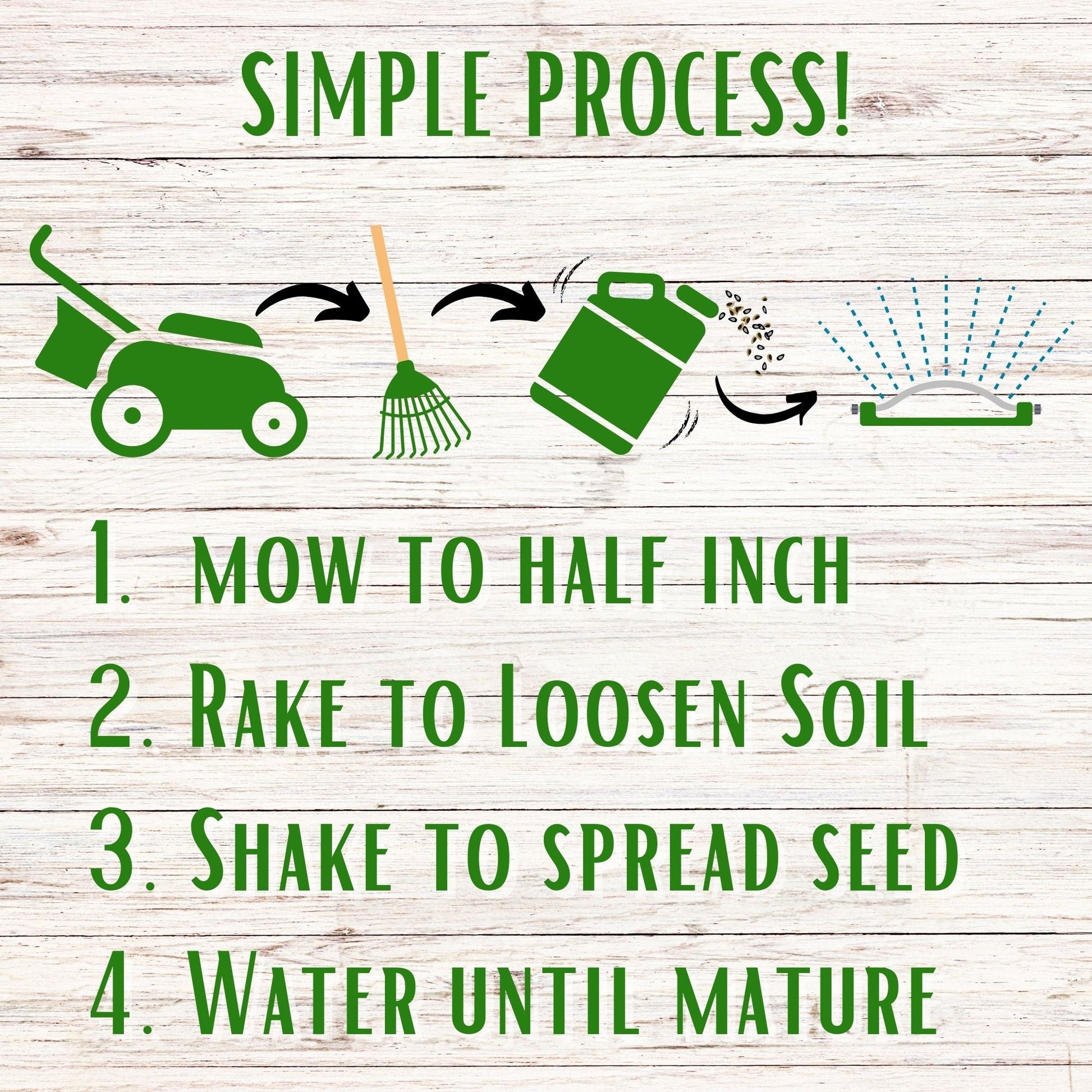 Dutch White Clover + Mow Less Grass Seed - Blessings Grow Meadows