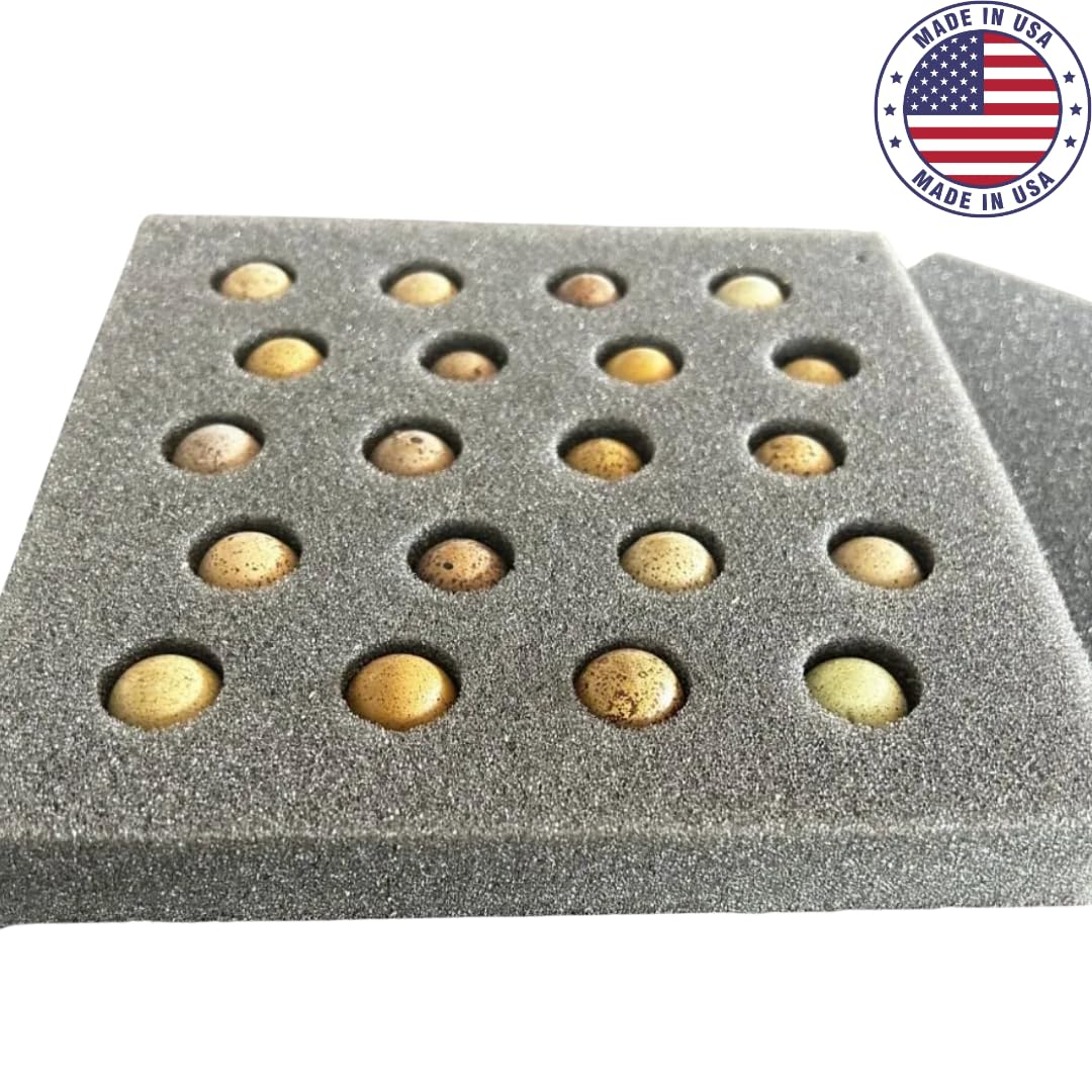Button quail egg foam shipper with 20 holes, designed for safe transport of quail eggs, shown in a 5-pack set from Quailz.com.