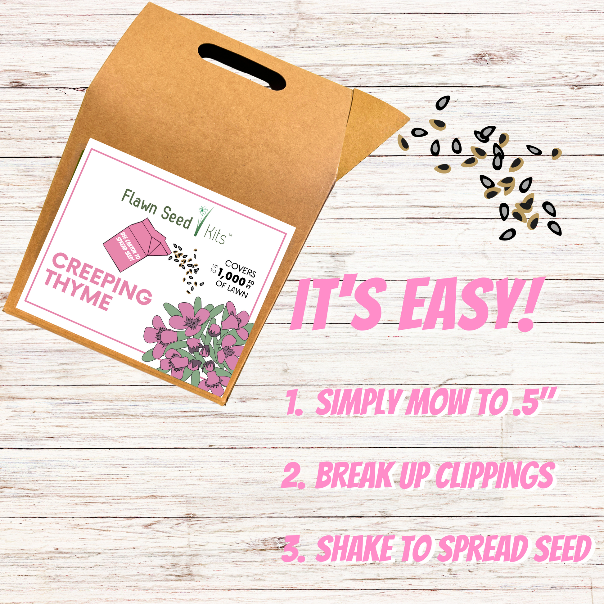 Creeping Thyme Eco-Friendly Seeding Kit - Blessings Grow Meadows