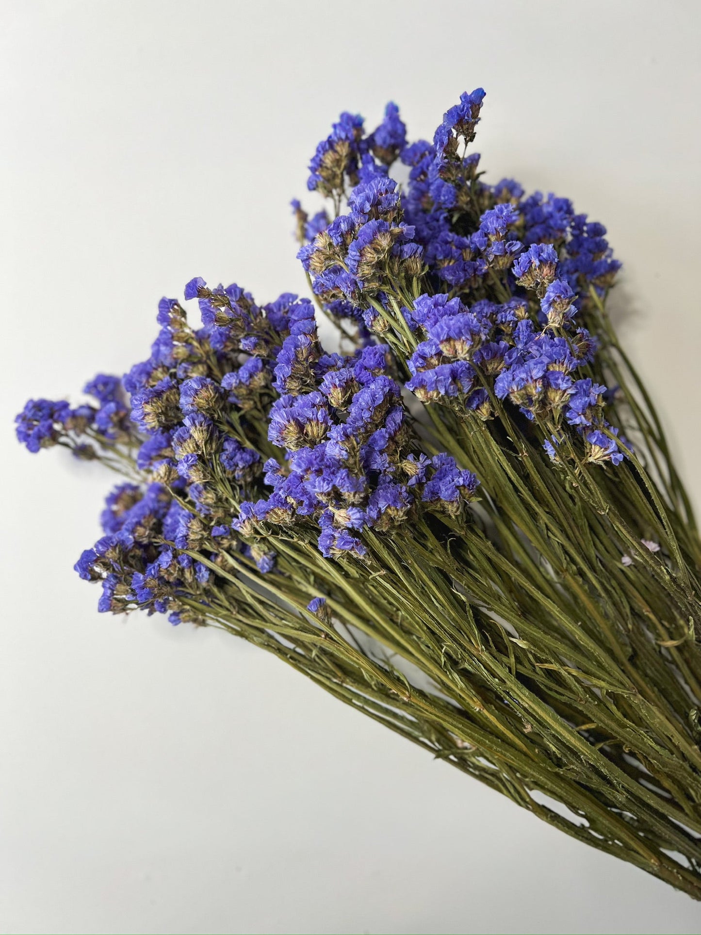 Blue dried Statice flowers from Sunny Meadows Flower Farm, showcasing vibrant, delicate blooms suitable for floral arrangements.