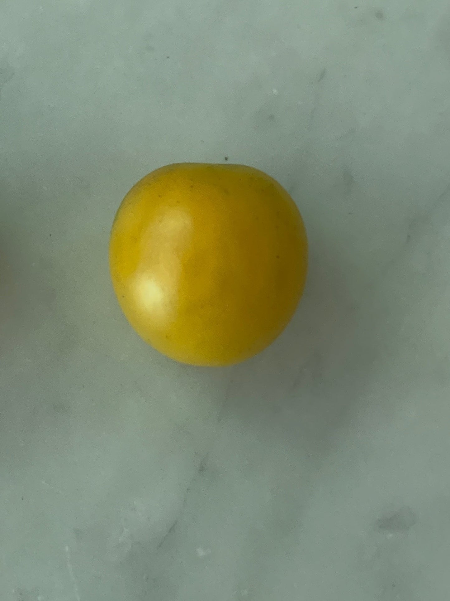 Honey Drop Tomato Seeds - Heirloom Sweet Yellow Cherry, 10-100 Count