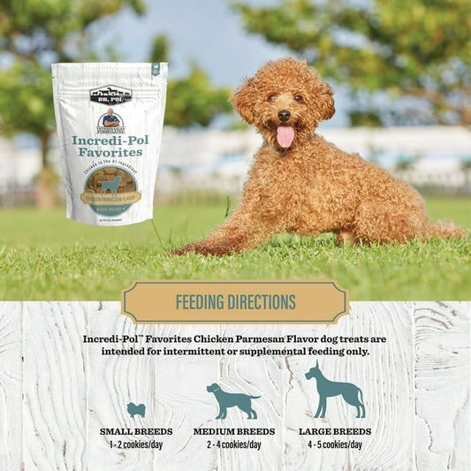 Dr. Pol Incredi-Pol Favorites Parmesan Chicken Flavor Crunchy Dog Treats, 12 oz. Bag - Blessings Grow Meadows
