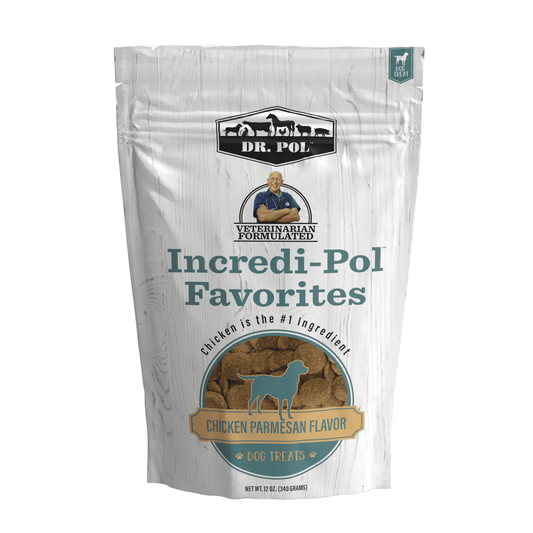 Dr. Pol Incredi-Pol Favorites Parmesan Chicken Flavor Crunchy Dog Treats, 12 oz. Bag - Blessings Grow Meadows