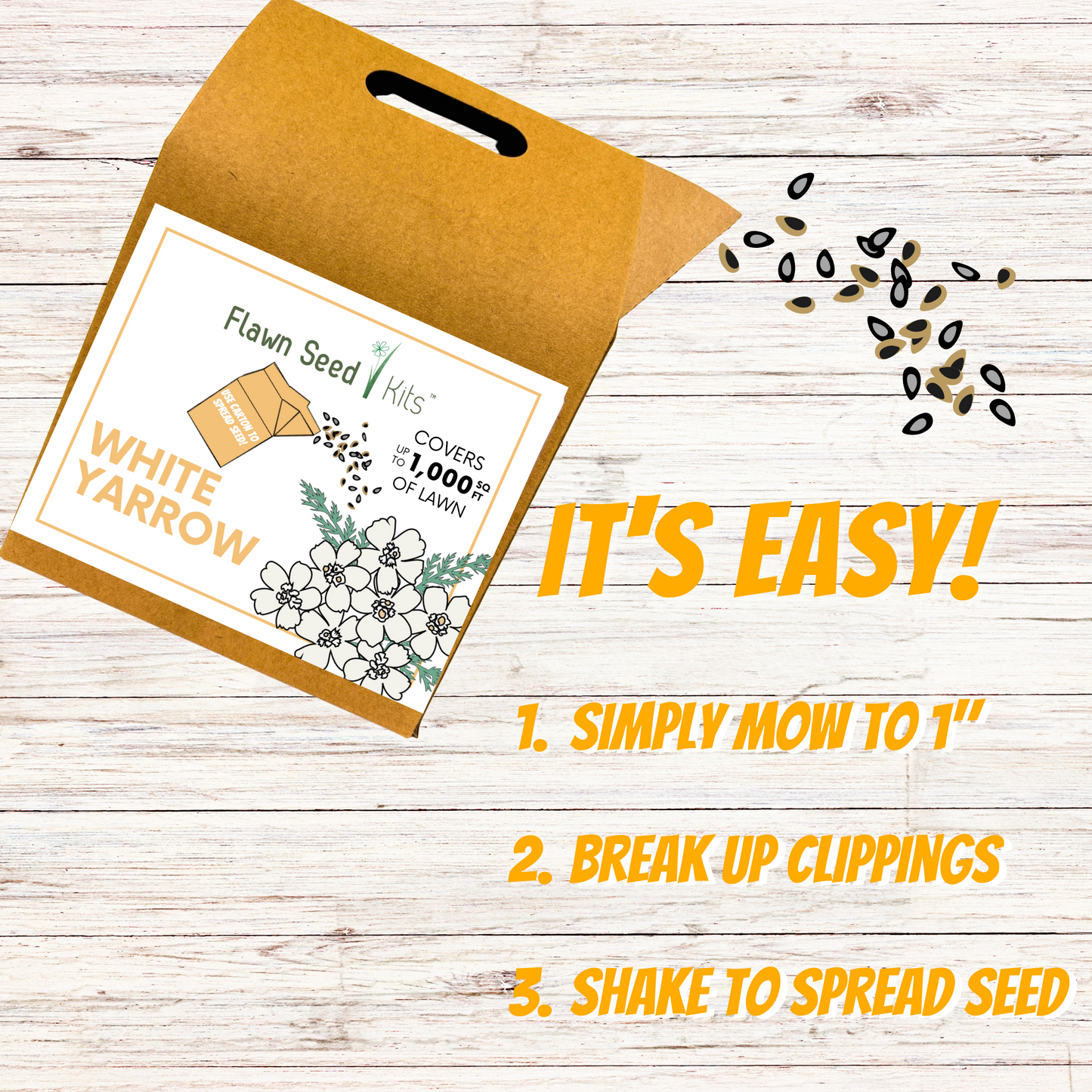 White Yarrow Eco-Friendly Seeding Kit - Blessings Grow Meadows