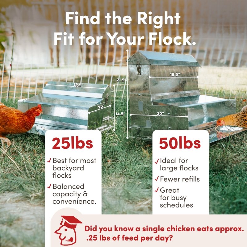 RentACoop automatic metal treadle feeder for poultry, 25lb capacity, durable feeding system for chickens and backyard coops.