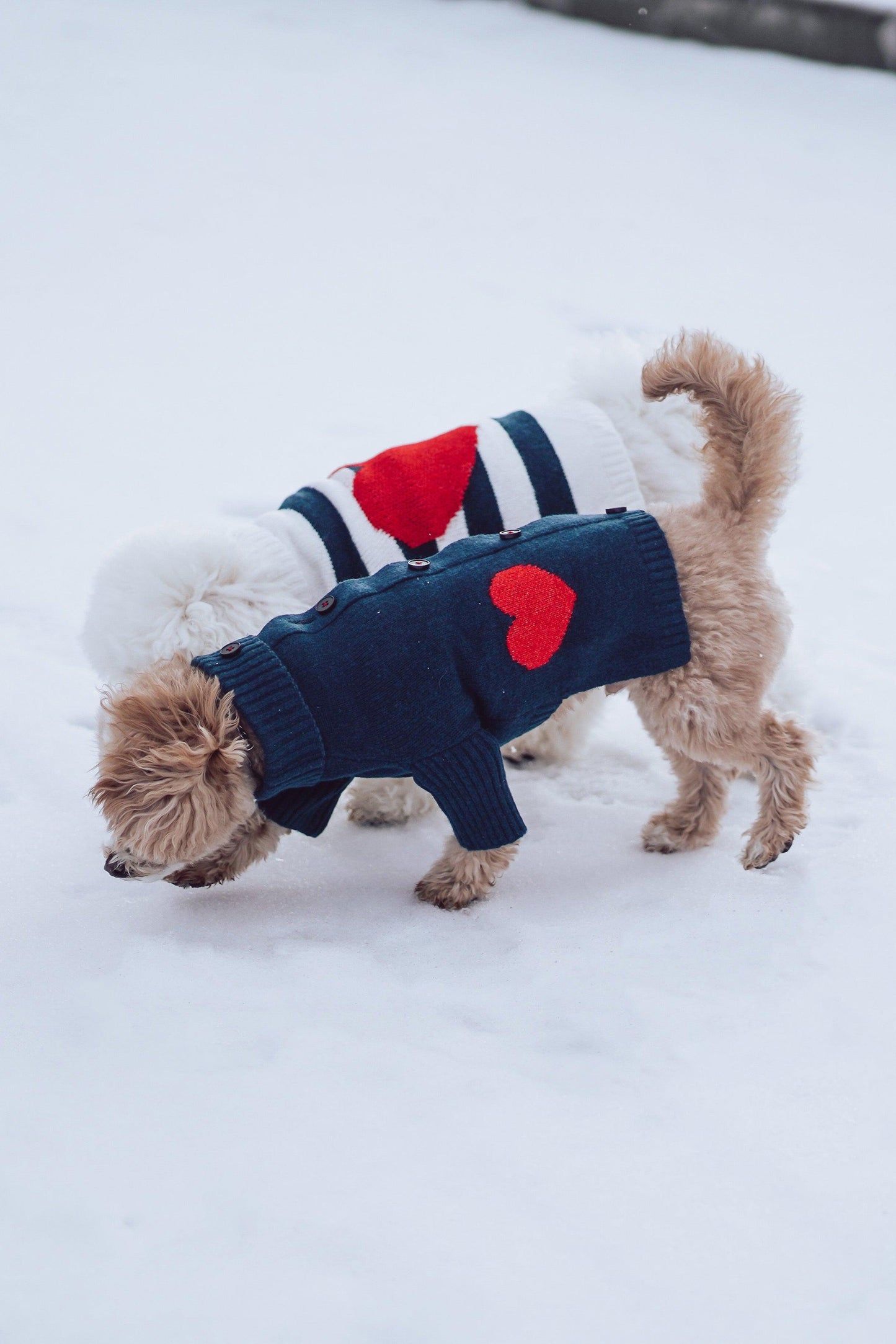 Sailor of My Heart Striped Turtleneck Sweater - BarkBarkBaby ~ Blessings Grow Meadows