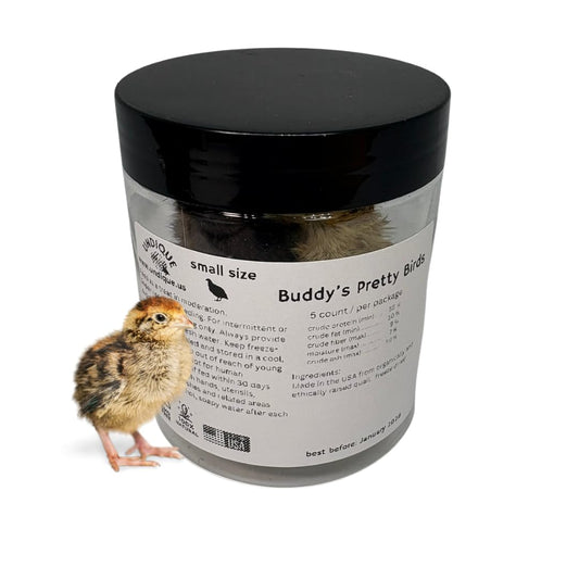 Freeze-dried whole quail for carnivore pets, showing small natural quail pieces with feathers and meat, ideal for natural prey feeding.