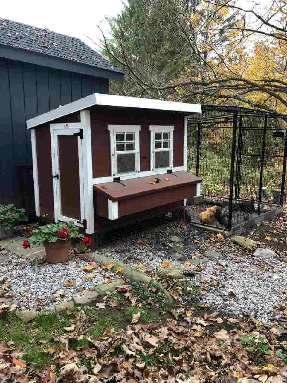 Walk-In 8 ft. Chicken Run (6'6"W x 7'6"L x 6'3"H) - OverEZ Chicken Coop ~ Blessings Grow Meadows