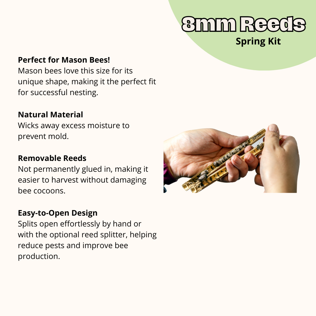 Cabana Bee House & Complete Kit with Bee Certificate - Blessings Grow Meadows