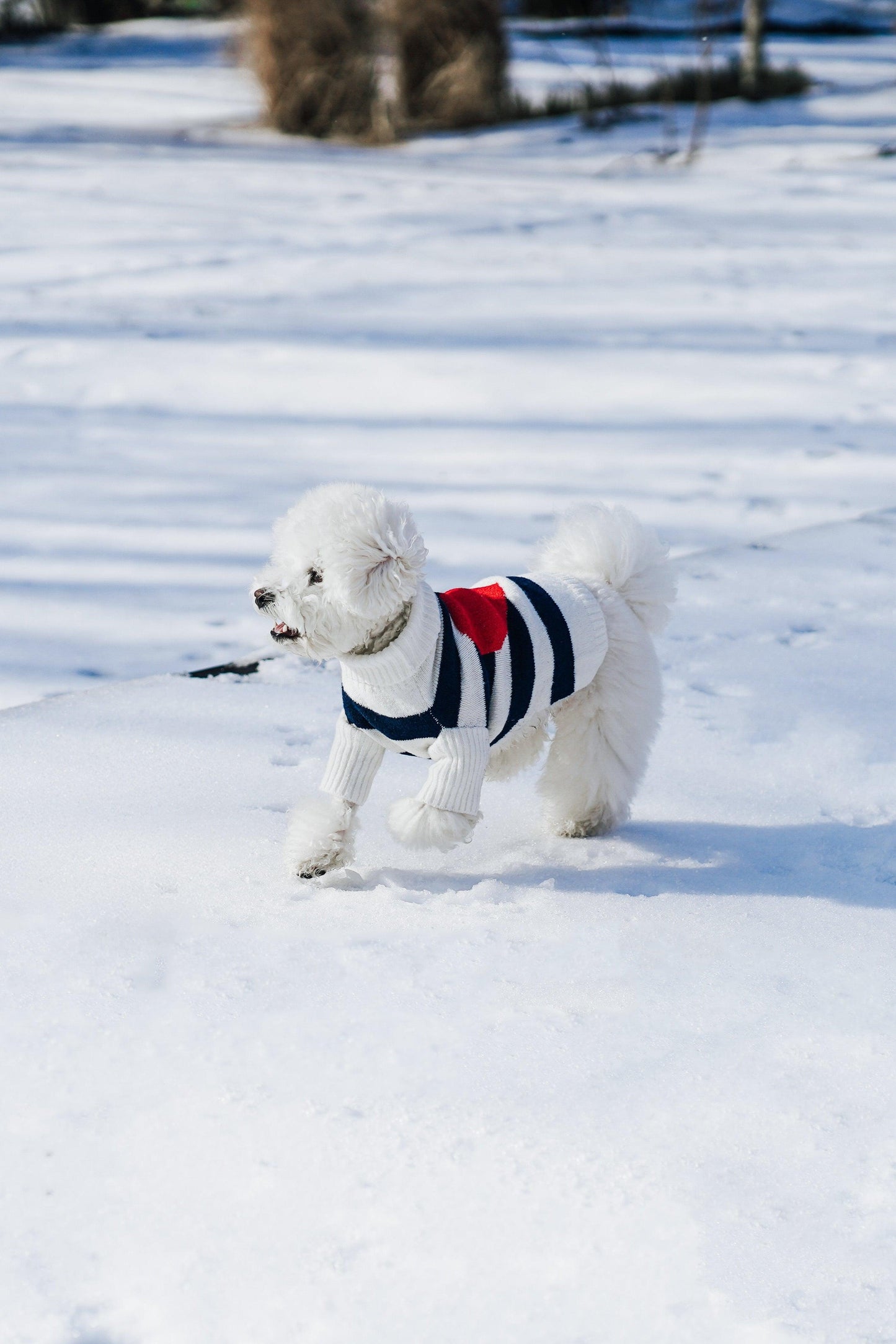 Sailor of My Heart Striped Turtleneck Sweater - BarkBarkBaby ~ Blessings Grow Meadows