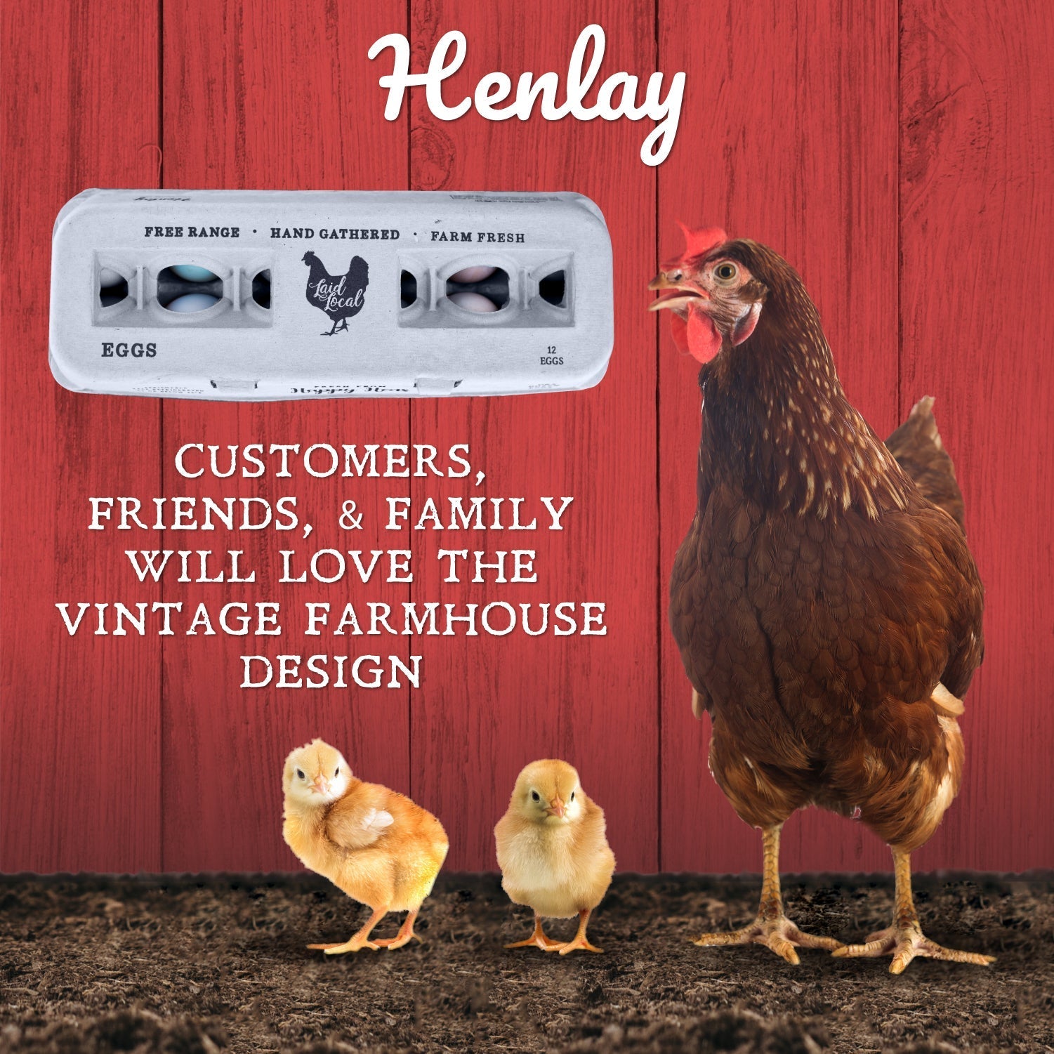 A brown hen and two chicks pose by a red wall, with My Pet Chicken’s Henlay Laid Local Egg Cartons (vintage design, 25/90/250 count) above them. The adorable cartons delight customers, friends, and family!.