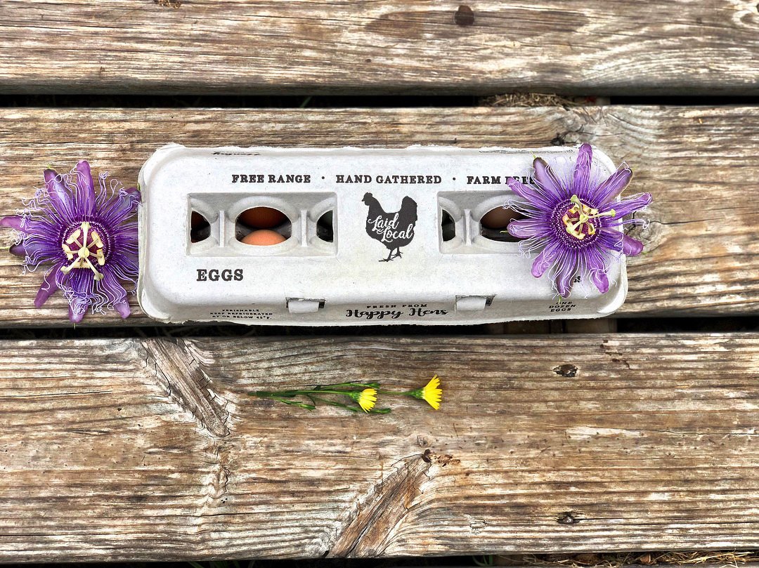 Henlay Laid Local Egg Cartons by My Pet Chicken, featuring an adorable vintage design, are displayed on wood with purple and yellow flowers—available in packs of 25, 90, or 250 for farm-fresh charm.
