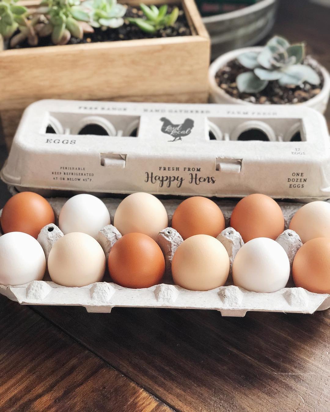 A carton of Henlay Laid Local Egg Cartons by My Pet Chicken, featuring a charming vintage design, sits on a wooden table; a plant and an open biodegradable carton are seen in the background.