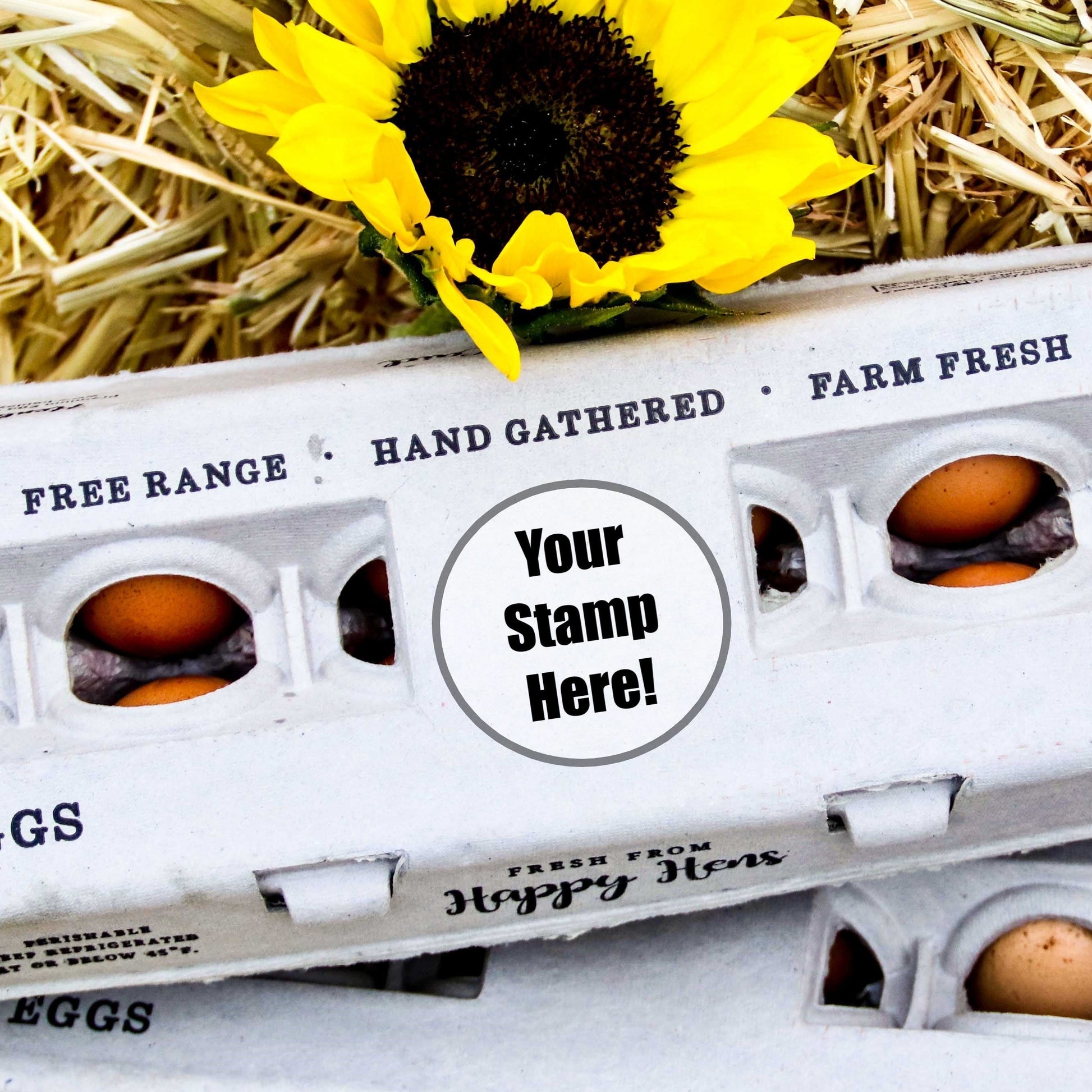 Henlay Blank Stamping Egg Cartons - 25, 90, or 250 - Blessings Grow Meadows