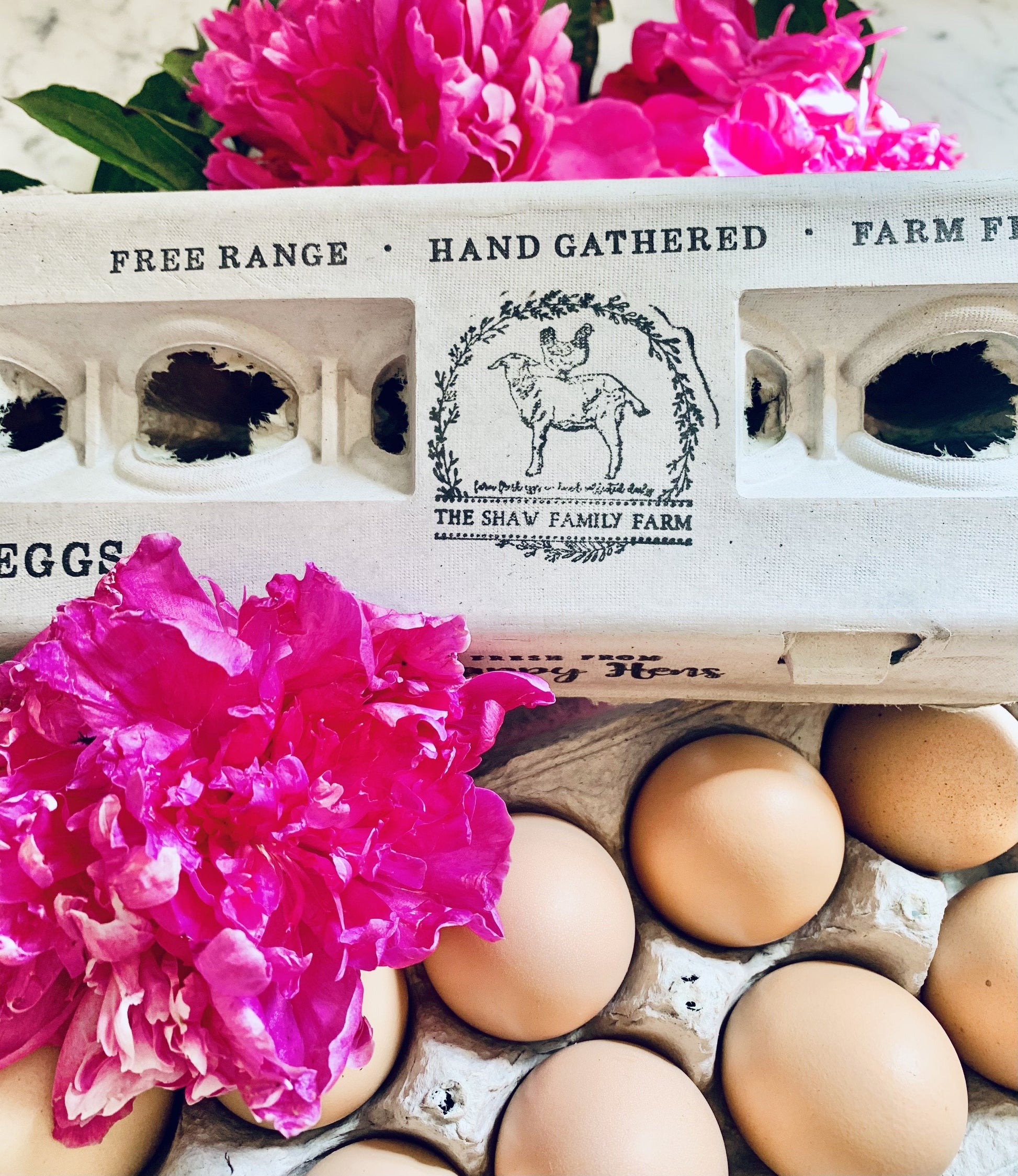 Henlay Blank Stamping Egg Cartons - 25, 90, or 250 - Blessings Grow Meadows