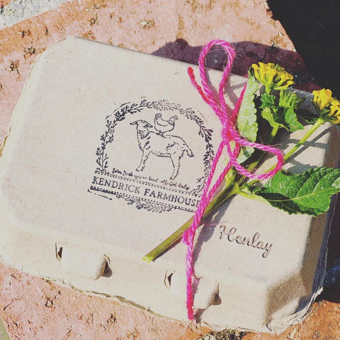 Half Dozen Egg Cartons - Henlay Blank Flat Top, Six Pack, 2 colors, 20 or 100 - Blessings Grow Meadows