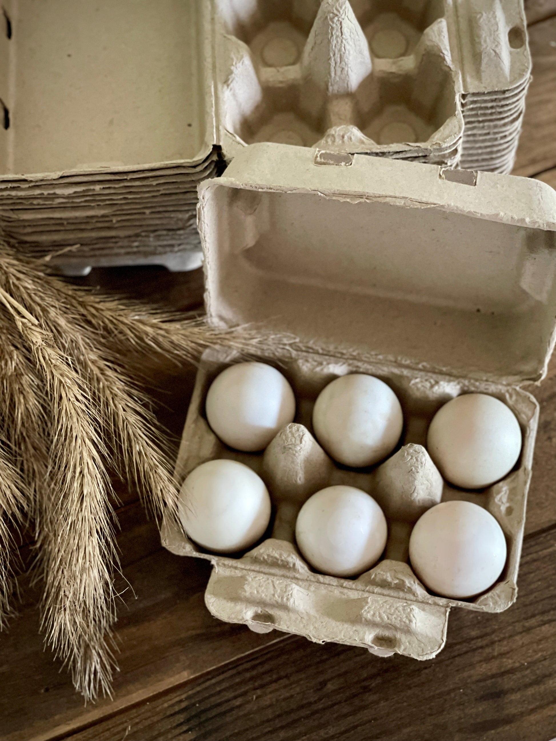 Henlay Duck Egg Cartons - Holds Half Dozen Jumbo Eggs- Blank Flat Top, 2 colors, 20 or 100 - Blessings Grow Meadows