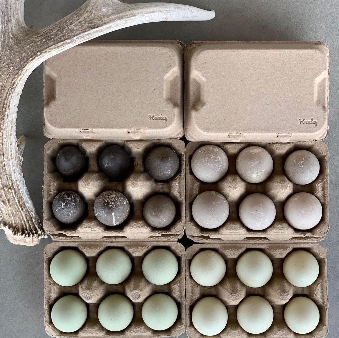 Henlay Duck Egg Cartons - Holds Half Dozen Jumbo Eggs- Blank Flat Top, 2 colors, 20 or 100 - Blessings Grow Meadows