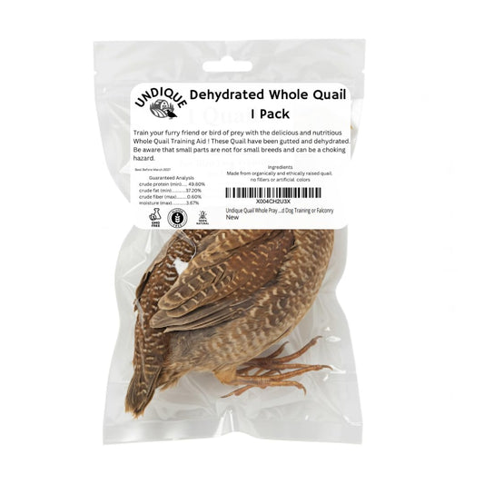Dehydrated whole quail treat for bird dog training or falconry, shown in natural state with feathers intact.