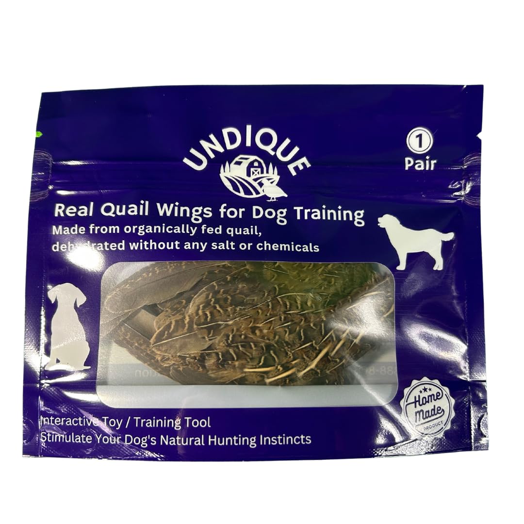Pair of premium quail wings for dog training, authentic bird scent from US farms, ideal for scent and hunting training.