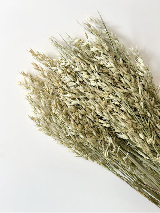 Dried Oats