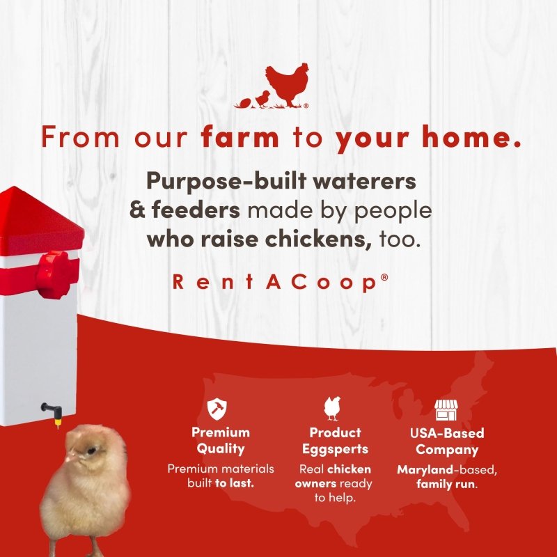 RentACoop 32oz Drinker Plus with 2 versatile nipples for small birds like chicks, quail, pigeons, and doves, in a watering system.