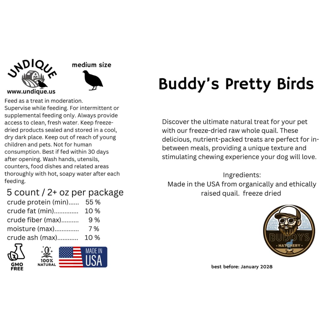 Five medium-sized whole quail chicks from Quailz by Undique LLC, ideal natural prey and protein source for carnivore pets.
