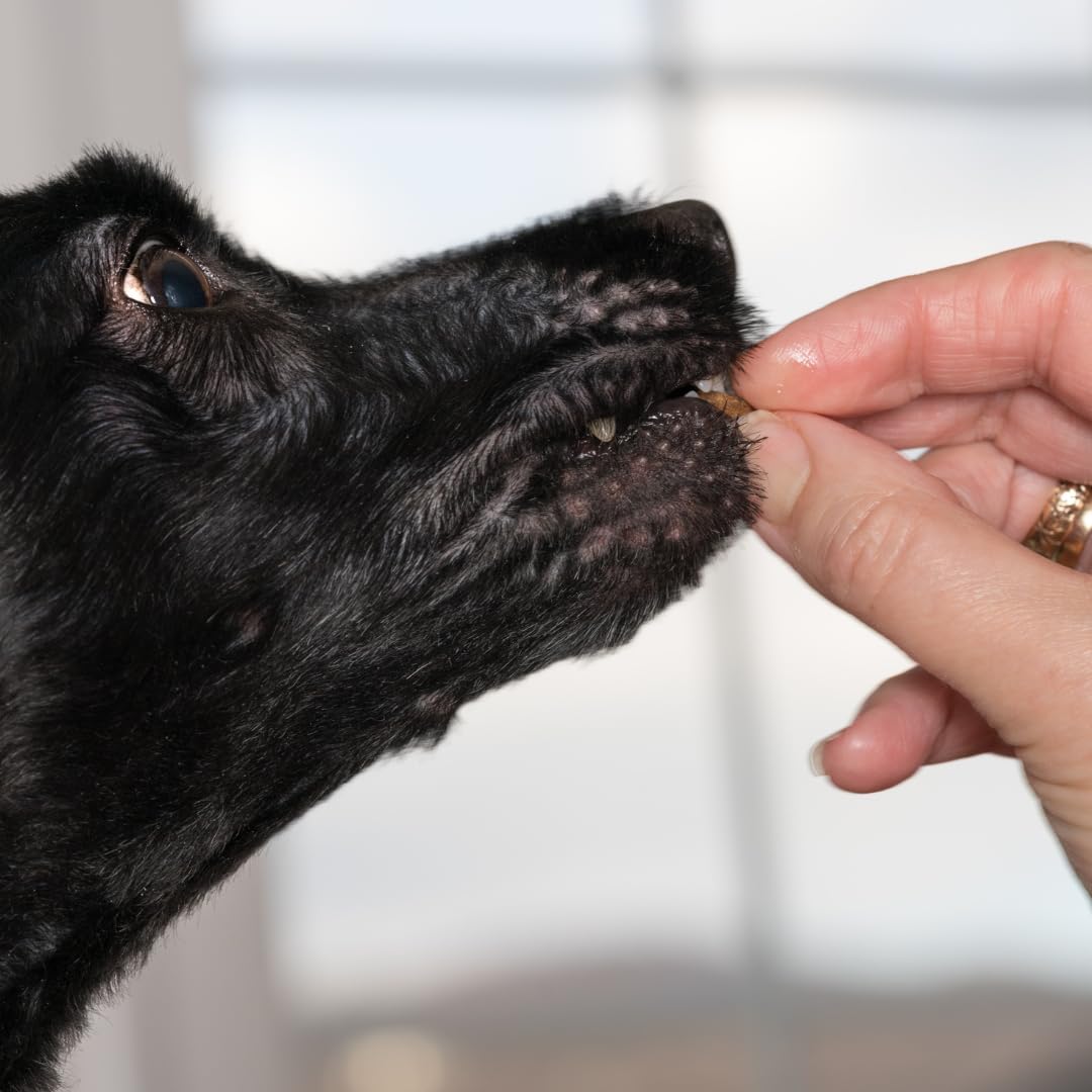 Dehydrated quail crunch bites for dogs with quail meat and shells, organic ingredients, perfect for training and healthy treats.