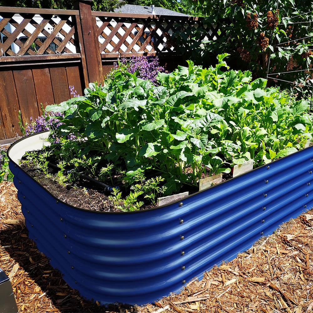 Olle Gardens 17" Tall, 12-in-1 Raised Garden Bed at Blessings Grow Meadows 