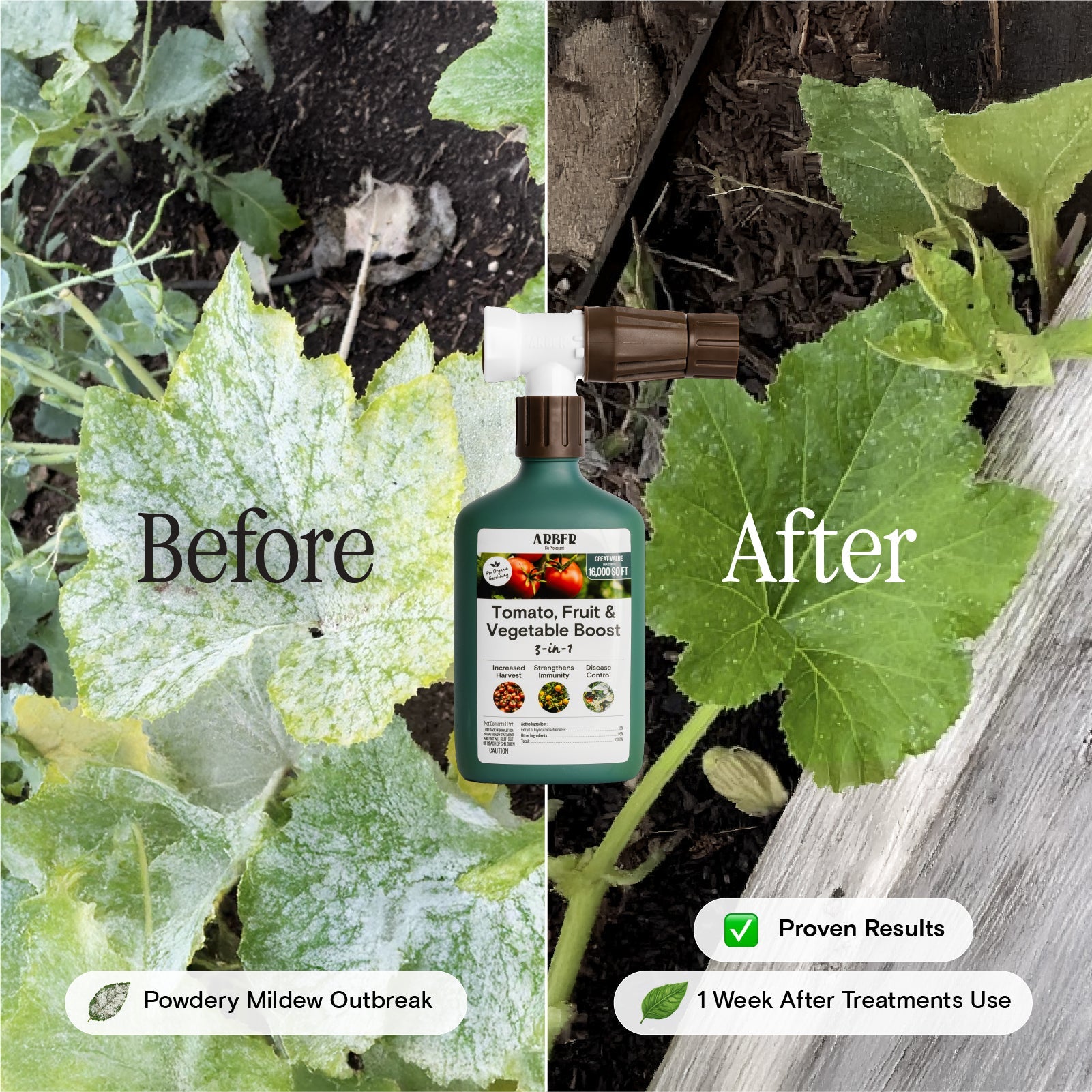 Organic Tomato, Fruit & Vegetable Boost - Blessings Grow Meadows