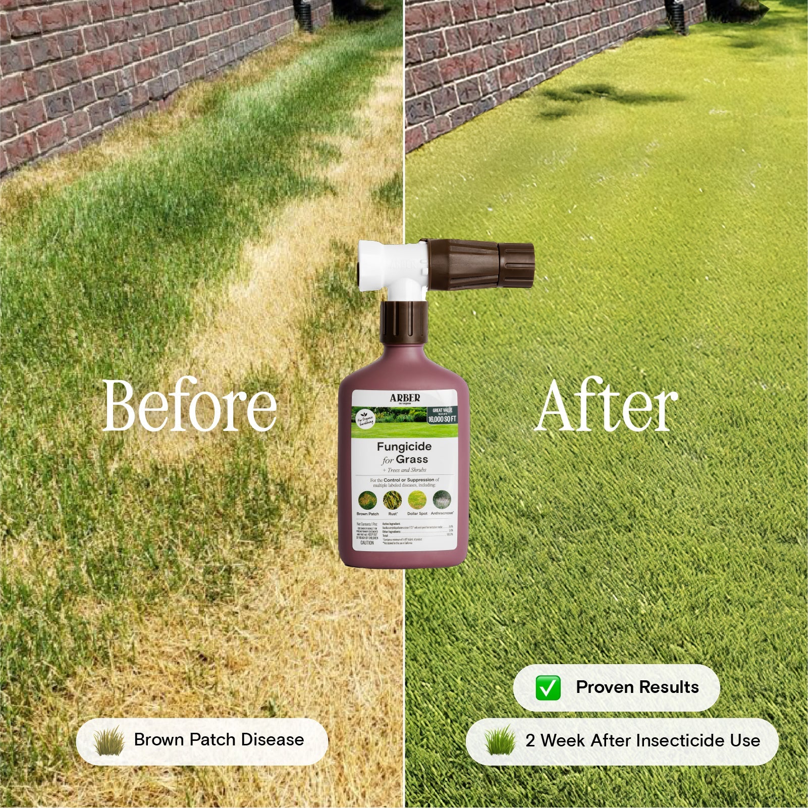 Organic Fungicide for Grass, Trees & Shrubs - Blessings Grow Meadows